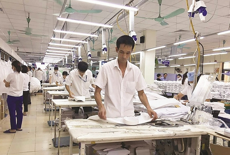 vietnam export today