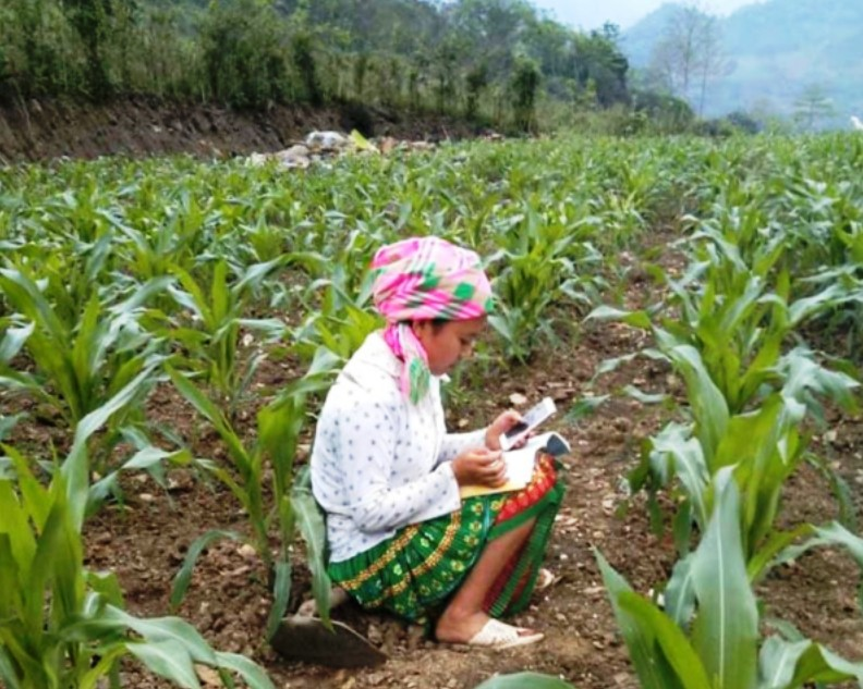 Vietnam ethnic students make shacks on hills for e-learning vietnam ethnic students make shacks on hills for e learning