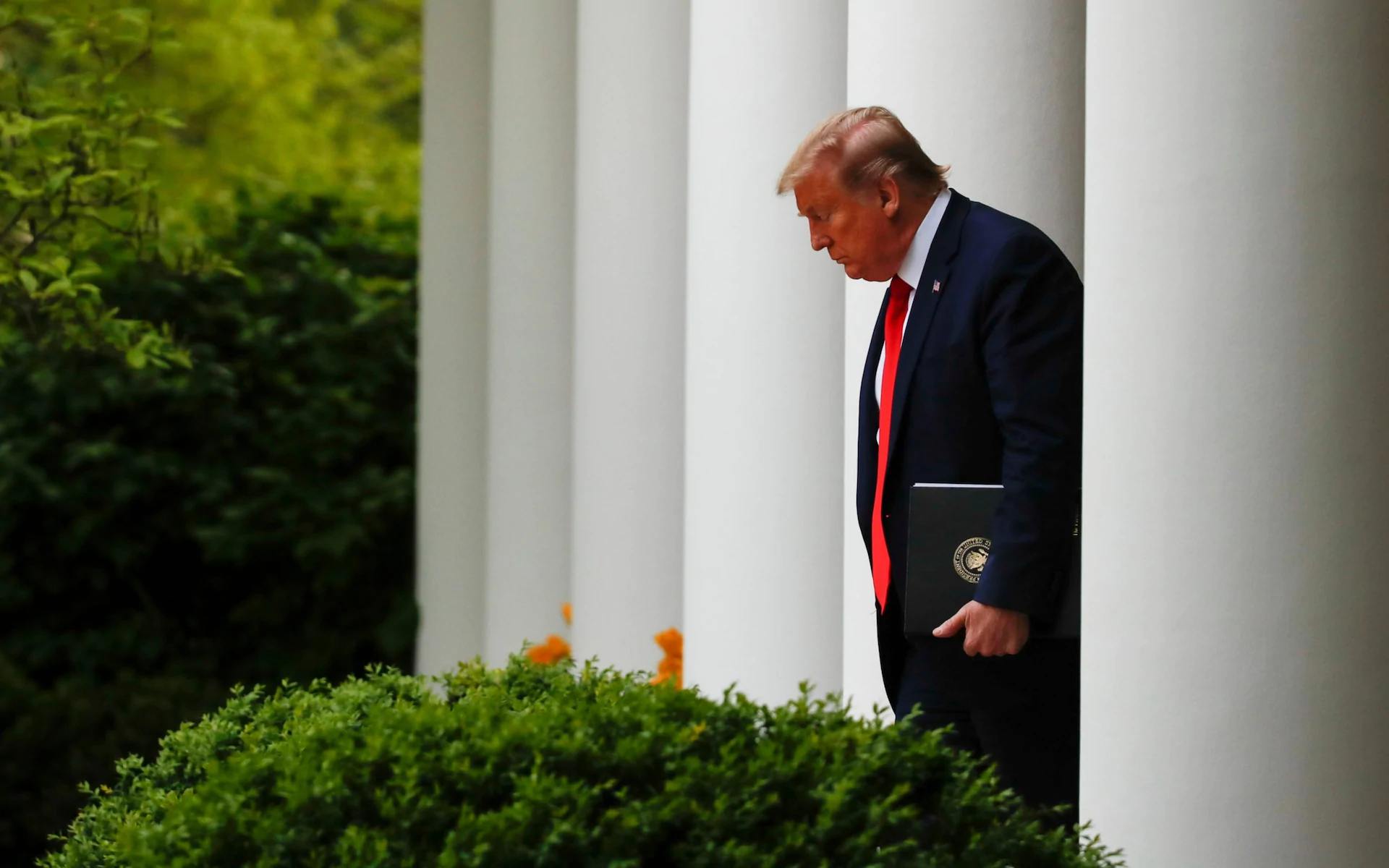 Trump announced to suspend WHO funding over pandemic response us president trump announced to suspend who funding over pandemic response