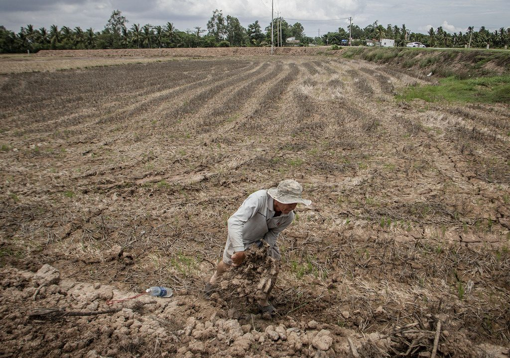 Record drought and salinity with desperate fresh water shortage, Mekong Delta crying for help record drought and salinity with desperate fresh water shortage mekong delta crying for help