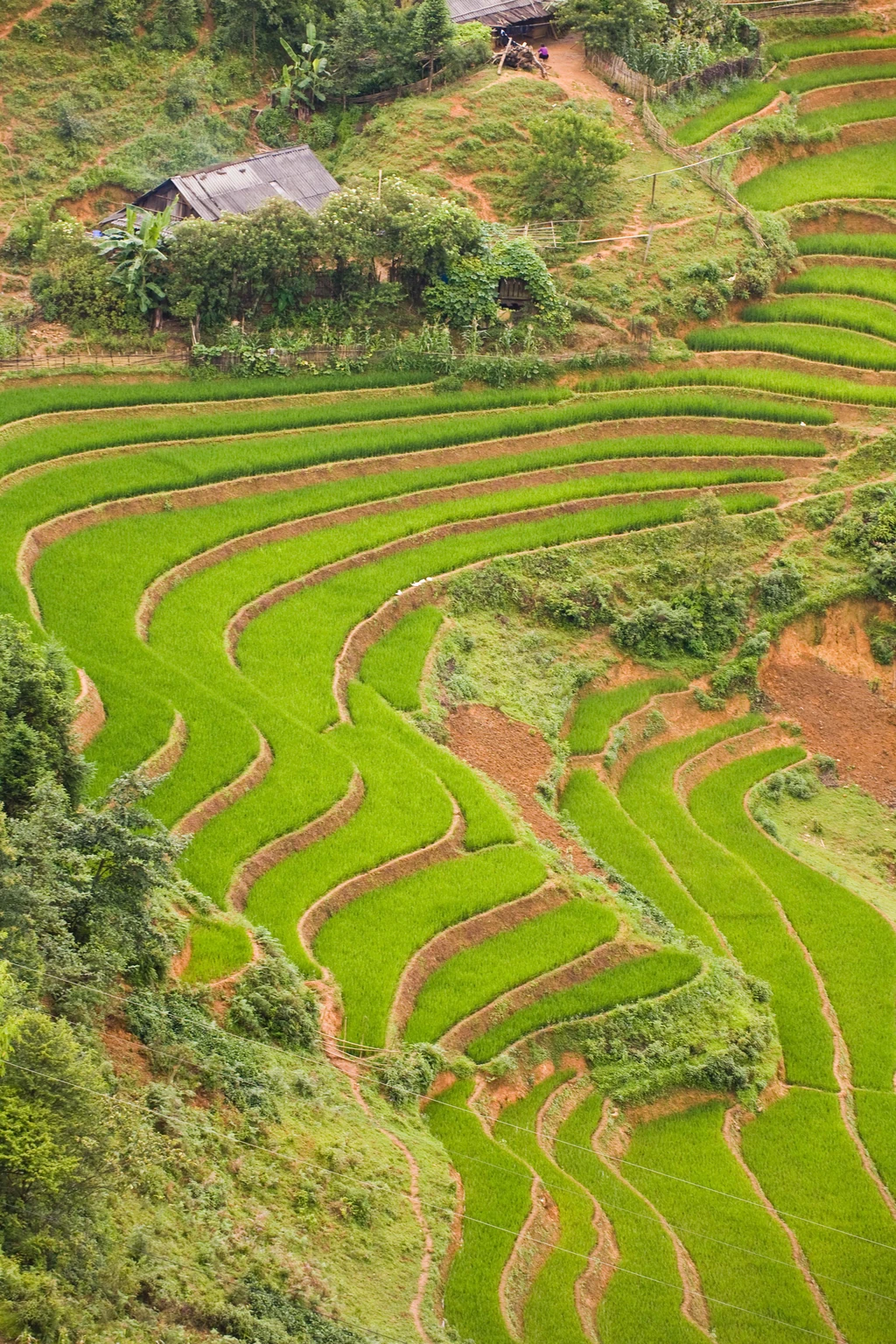 Vietnam Sustainable Rural Charmings through a Britain young beautiful jounarlist's eyes Vietnam Sustainable Rural Charmings through a Britain young beautiful jounarlist's eyes