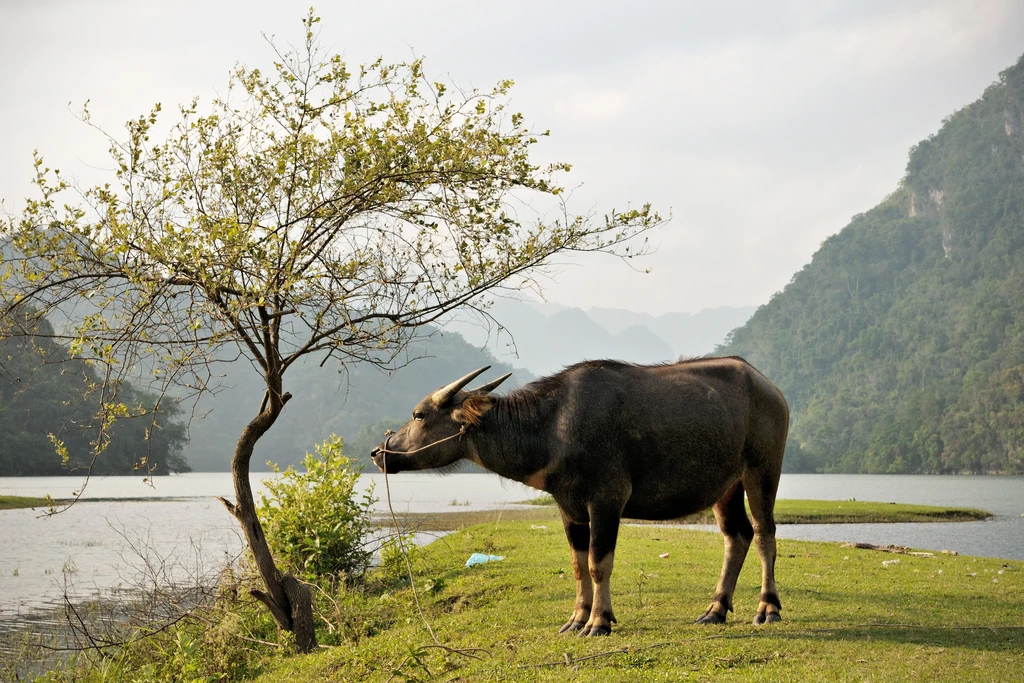 Vietnam Sustainable Rural Charmings through a Britain young beautiful jounarlist's eyes Vietnam Sustainable Rural Charmings through a Britain young beautiful jounarlist's eyes