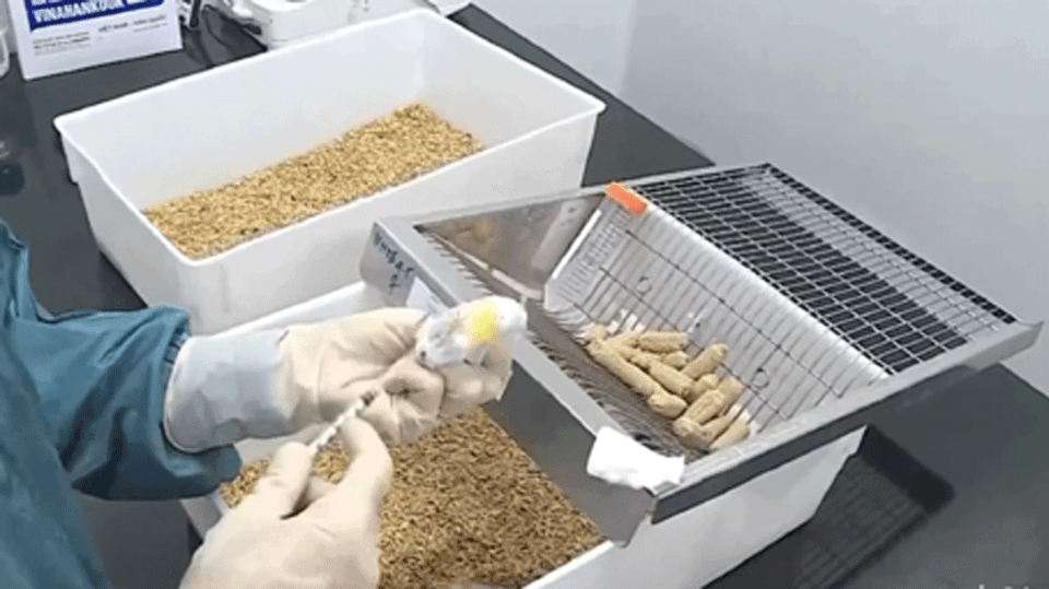 The vaccine test was performed by the No. 1 Bio-Vaccine Company (Ministry of Health), showing the results of antibody prevention against Covid-19. 2422 vacin1