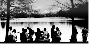 quot Happy streets quot photo exhibition of ants Salvadoran architect Pérez Arroyo 5059 tbn4