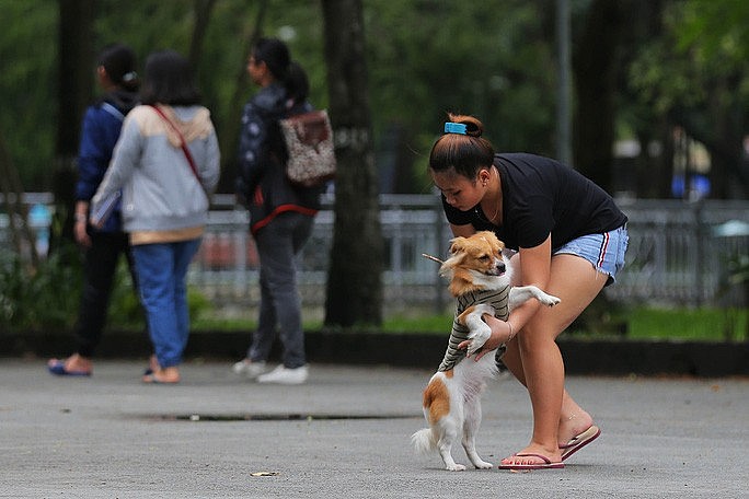 Covid-19 Patients Warn of Pets And How To Care Your Pets During Pandemic Covid-19 Patients Warn of Pets And How To Care Your Pets During Pandemic