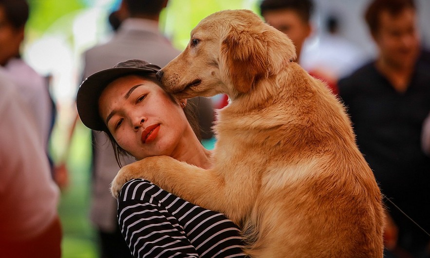 A woman carries a dog at the Vietnam Dog Show in HCMC, December 2017. Photo by VnExpress A woman carries a dog at the Vietnam Dog Show in HCMC, December 2017. Photo by VnExpress