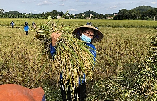 vietnams 17 identified goals for sustainable development to 2030