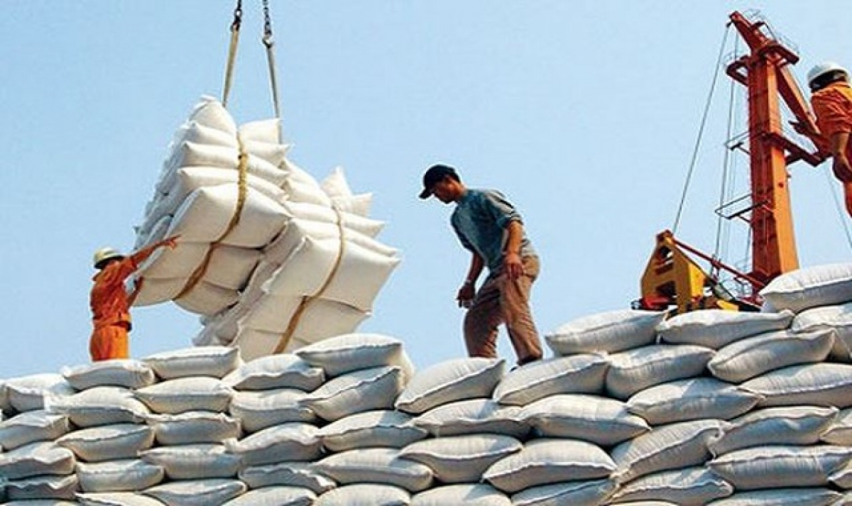 Rice is one of Vietnam's major exports to African countries. 5327 afr2