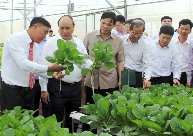PM Nguyen Xuan Phuc (second from left) inspects a clean agricultural production model in Duc Trong district, Lam Dong province. (Photo: NDO/Mai Van Bao) 3554 pm2