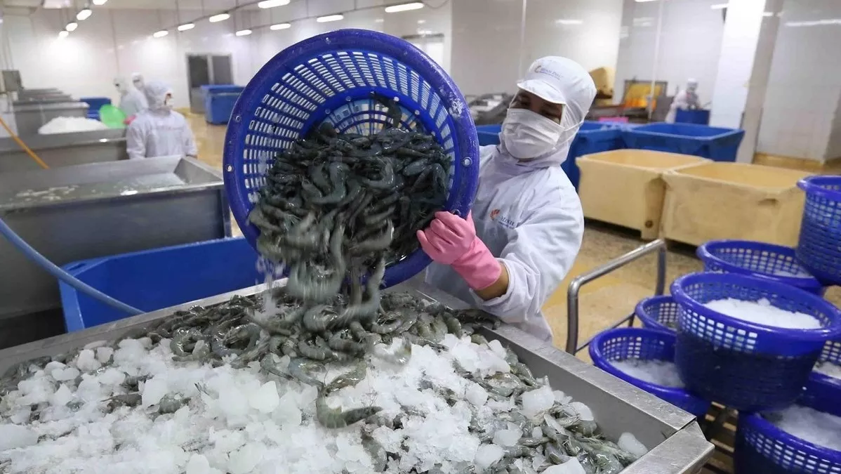 Seafood is one of Vietnam's main exports to the UK. 5324 uk