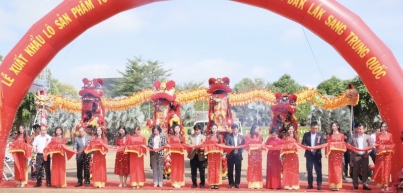 得乐省首批正贸出口中国的燕窝的发运仪式。 得乐省首批正贸出口中国的燕窝的发运仪式。