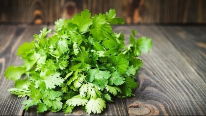 一些越南香料菜不再受欧盟官方和紧急控制措施的限制