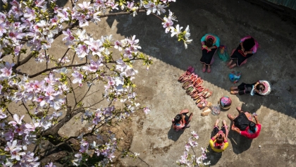 2026年越南奠边洋紫荆花节：弘扬特色，传播英雄奠边形象