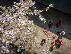 2026年越南奠边洋紫荆花节：弘扬特色，传播英雄奠边形象