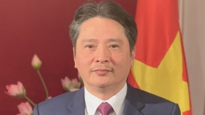 越南与阿尔及利亚加强合作关系