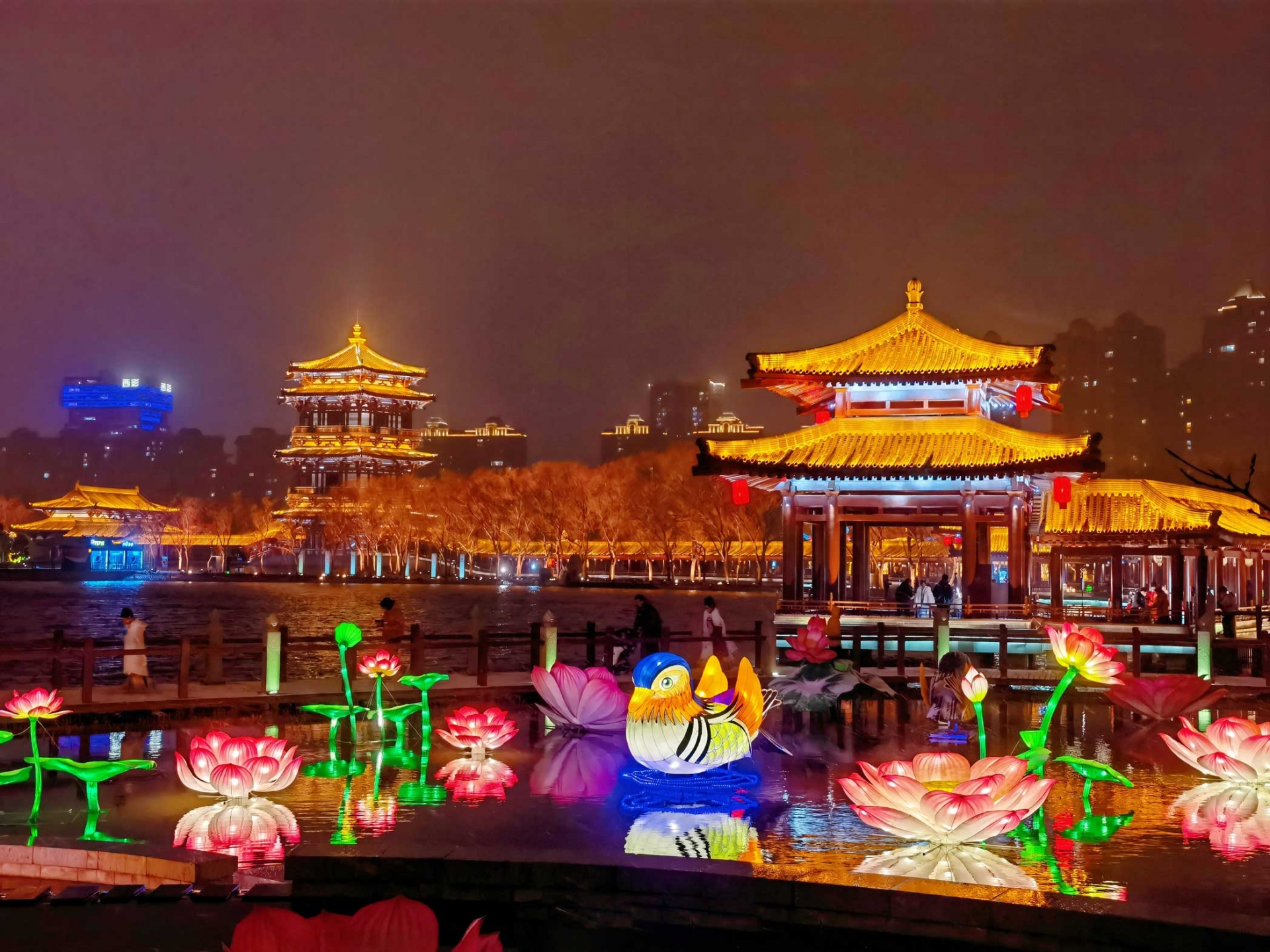 附图。