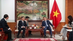 促进越南与中国信息和传媒合作