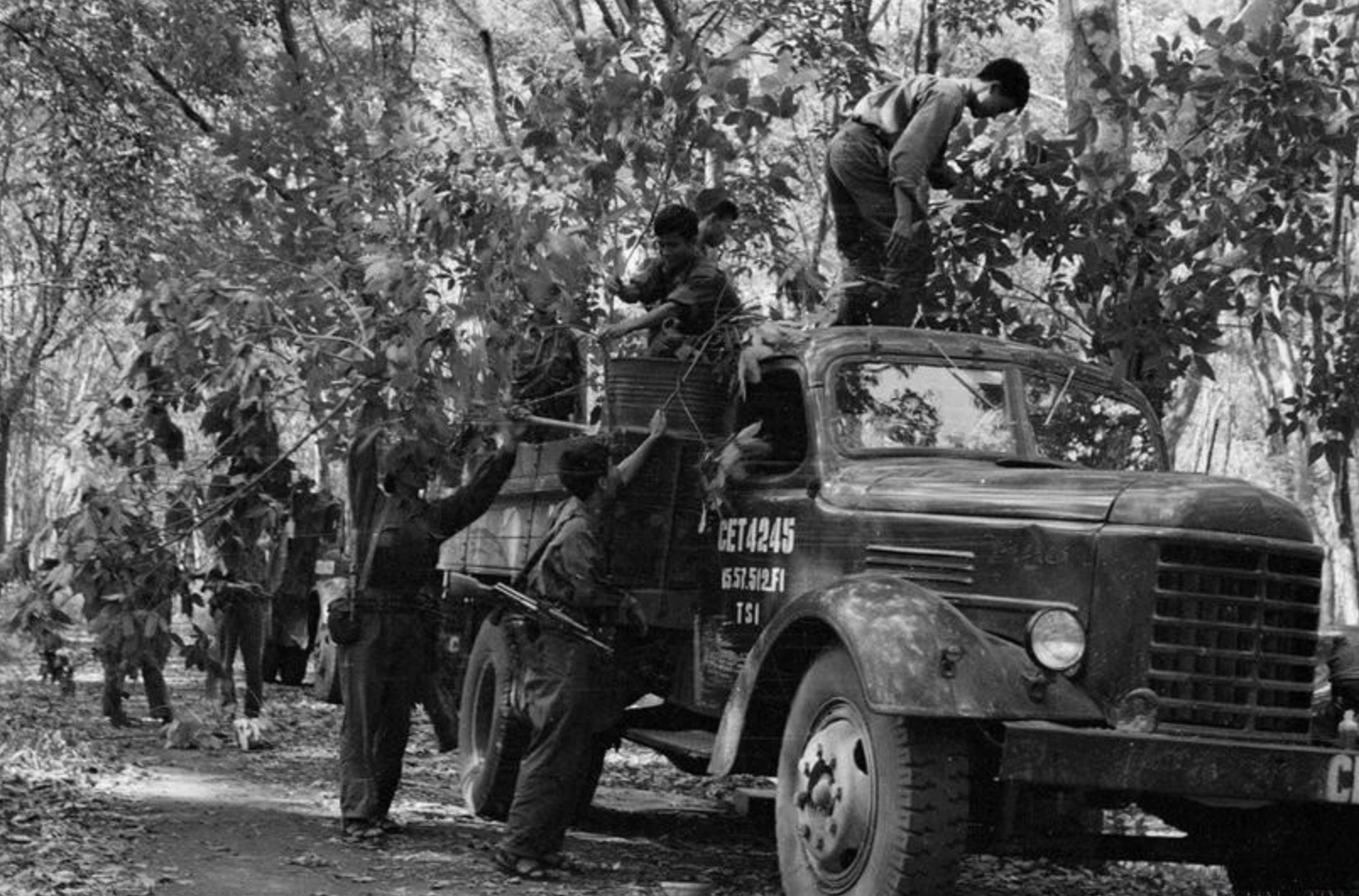 溪生(Khe Sanh)部队在进攻西贡前对车辆进行伪装。 溪生(Khe Sanh)部队在进攻西贡前对车辆进行伪装。