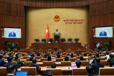 国际友人与海外侨胞：对越南新发展阶段充满信心