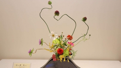 池坊花道插花艺术展