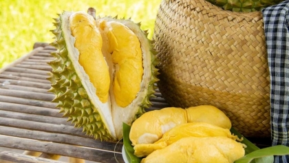 293个种植区和115个榴莲包装厂已获得出口中国的代码