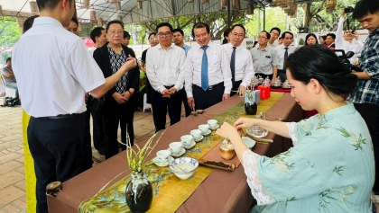 “茶和天下——旅游文化周”活动中的多项有趣活动