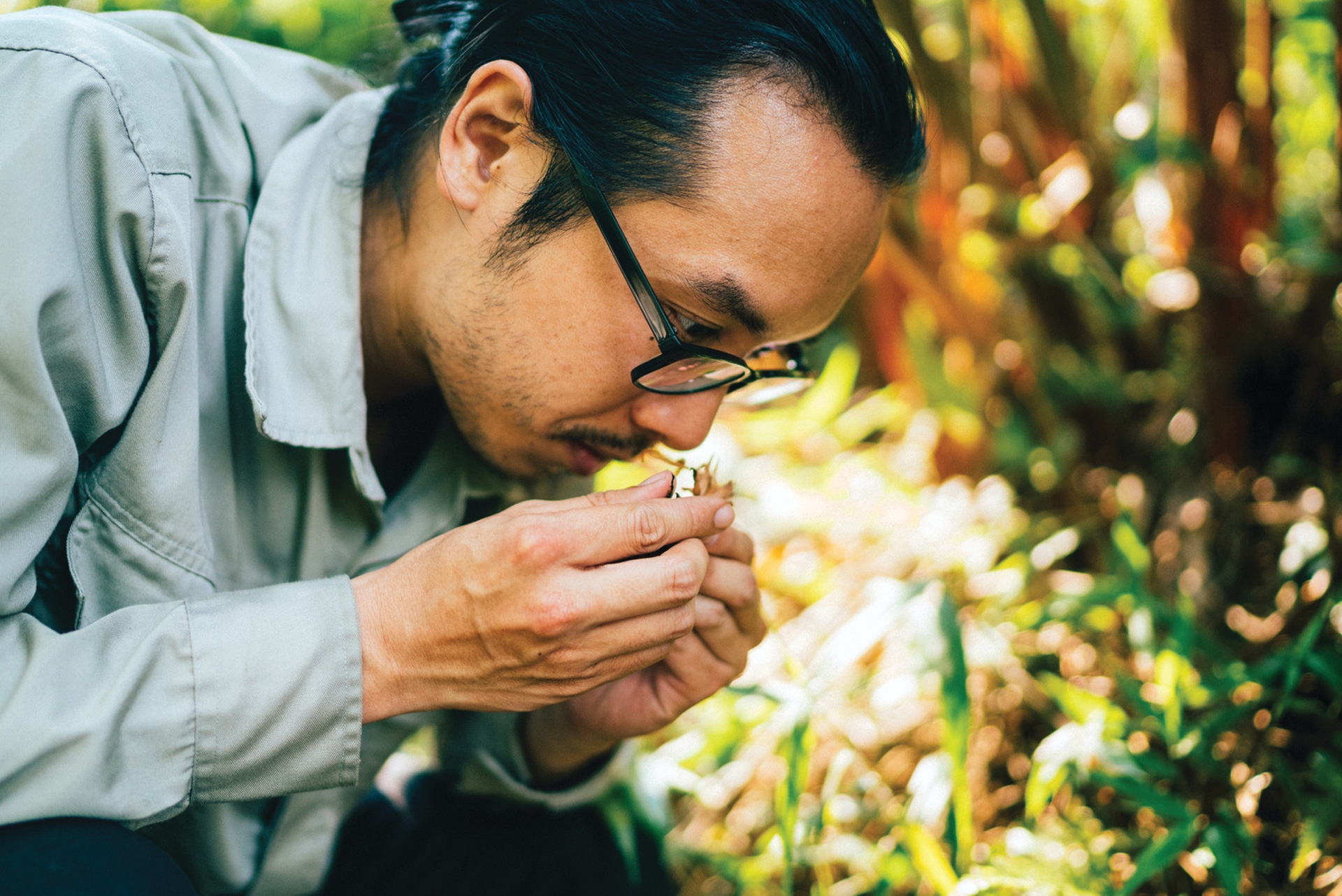 丹尼尔寻找草药。 丹尼尔寻找草药。