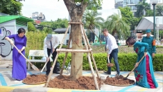 河内：种植与世界各国和平友谊之树