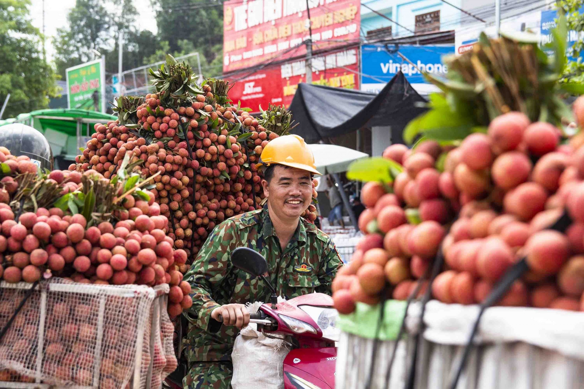 越南荔枝出口趁“黄金时间”。