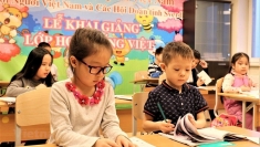 为落实各项弘扬越南语的计划和方案的多项积极活动
