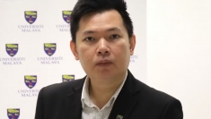 马来西亚专家：越南为东盟和平、稳定与发展做出贡献