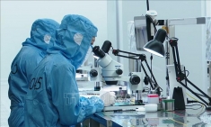 越侨知识分子期待越新科技合作取得突破