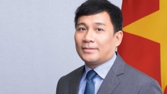 推动越南各部委、行业、地方同中国广东省的合作