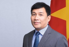 推动越南各部委、行业、地方同中国广东省的合作