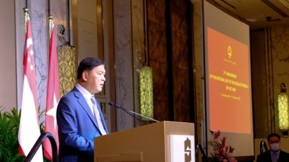 越南是新加坡在东盟的重要合作伙伴