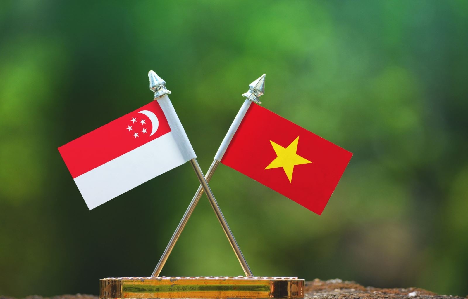 附图。 附图。
