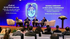 《河内公约》：建立国际标准与网络犯罪调查合作网络
