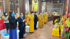 地方和平委员会活动中的亮点