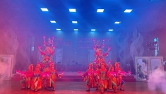 迎建交75周年 越南举行