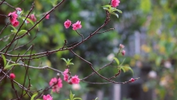 top 6 loi chuc valentine cho ban be hay nhat y nghia nhat
