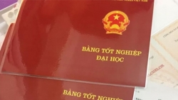 chinh sach co hieu luc tu thang 32020 csgt voi tien nguoi vi pham co the bi sa thai