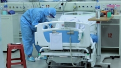 nguyen nhan cua hien tuong tai duong tinh o cac benh nhan covid 19