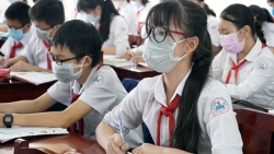 chu tich ha noi yeu cau ra soat cat tia cay xanh trong truong hoc