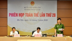 giam sat chat va nang che tai trong dau thau mua gao du tru quoc gia