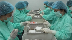 ha lan phat hien nguoi nhiem virus sars cov 2 tu chon