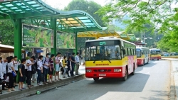 ha noi chu tich phuong co nhue 2 viet don xin nghi vi ly do gi