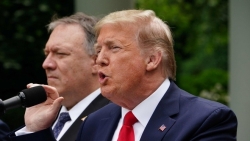 trump tu cam on ban than vi ca ch u ng pho ba o loa n