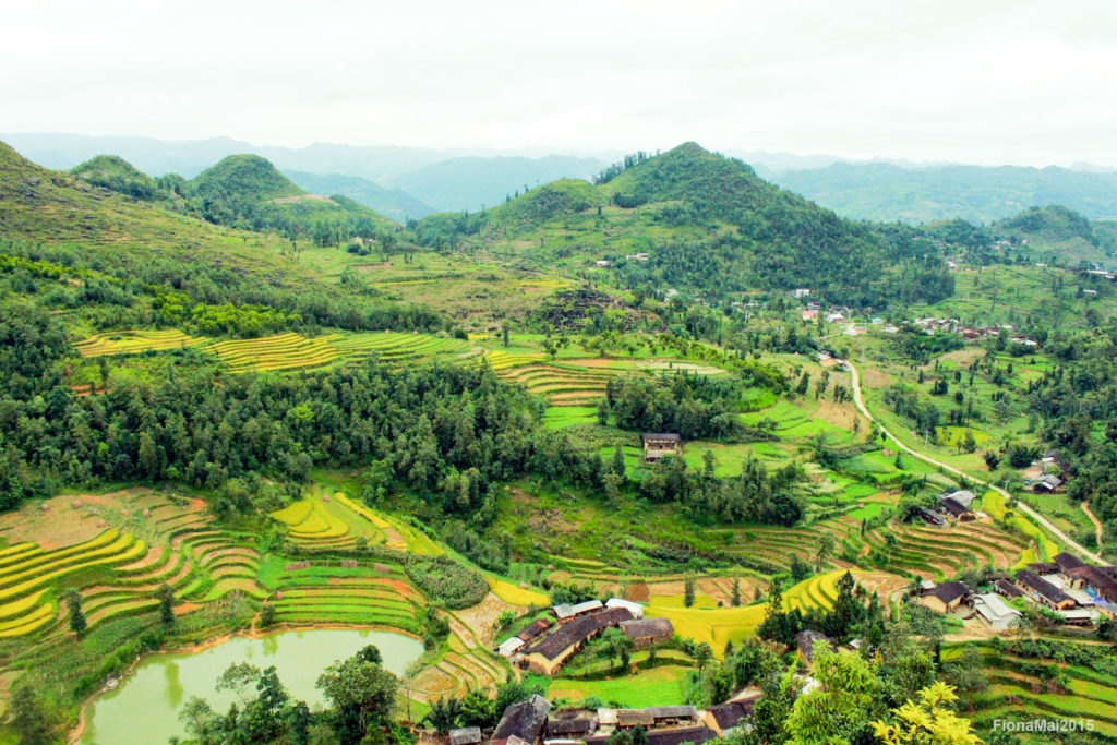 kham pha trang an chinh phuc lung cu va loat trai nghiem du lich khien khach tay an tuong