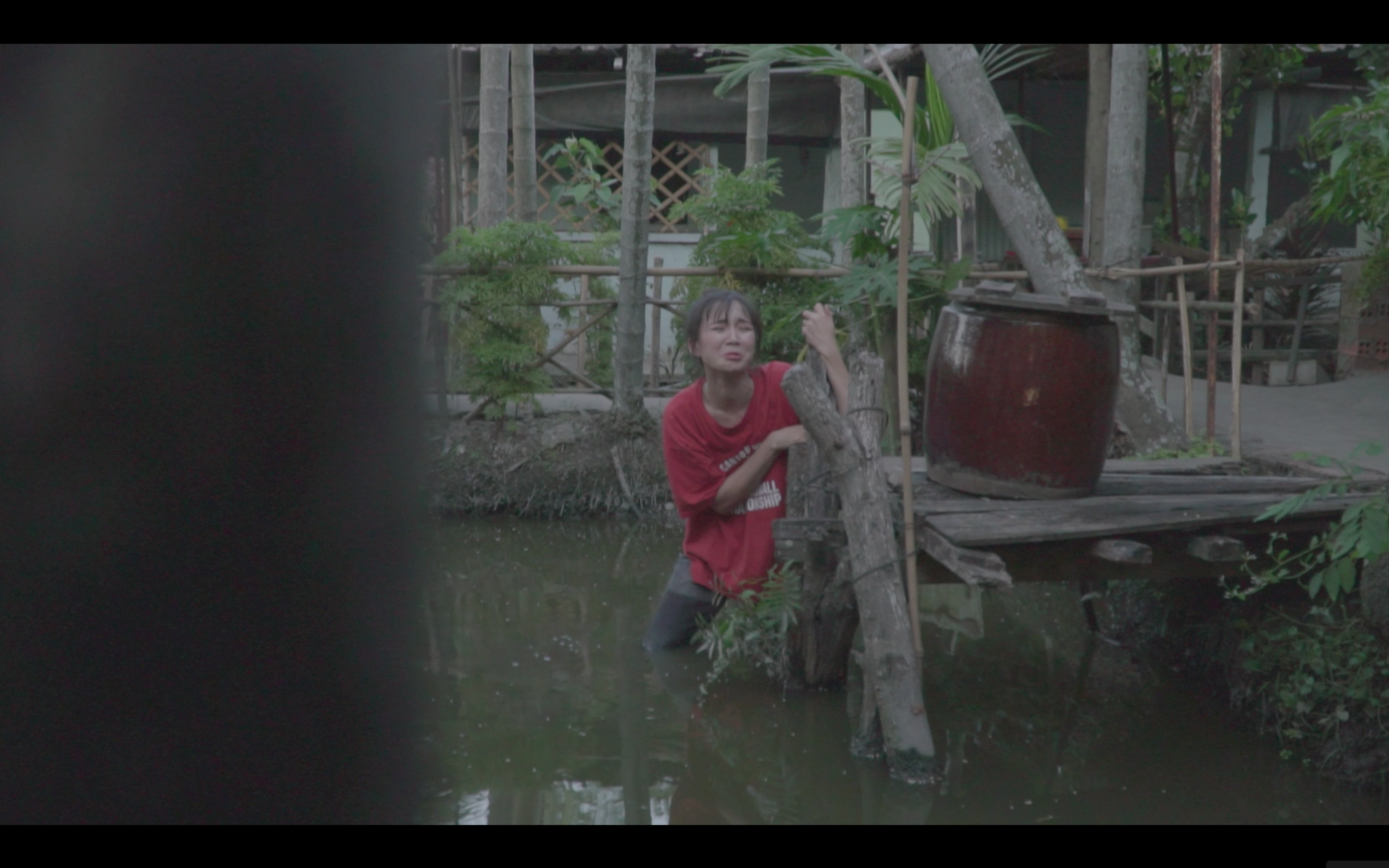 a quan solo cung bolero tu tri ra mat mv mung xuan canh ty hua hen bung no trong nam 2020