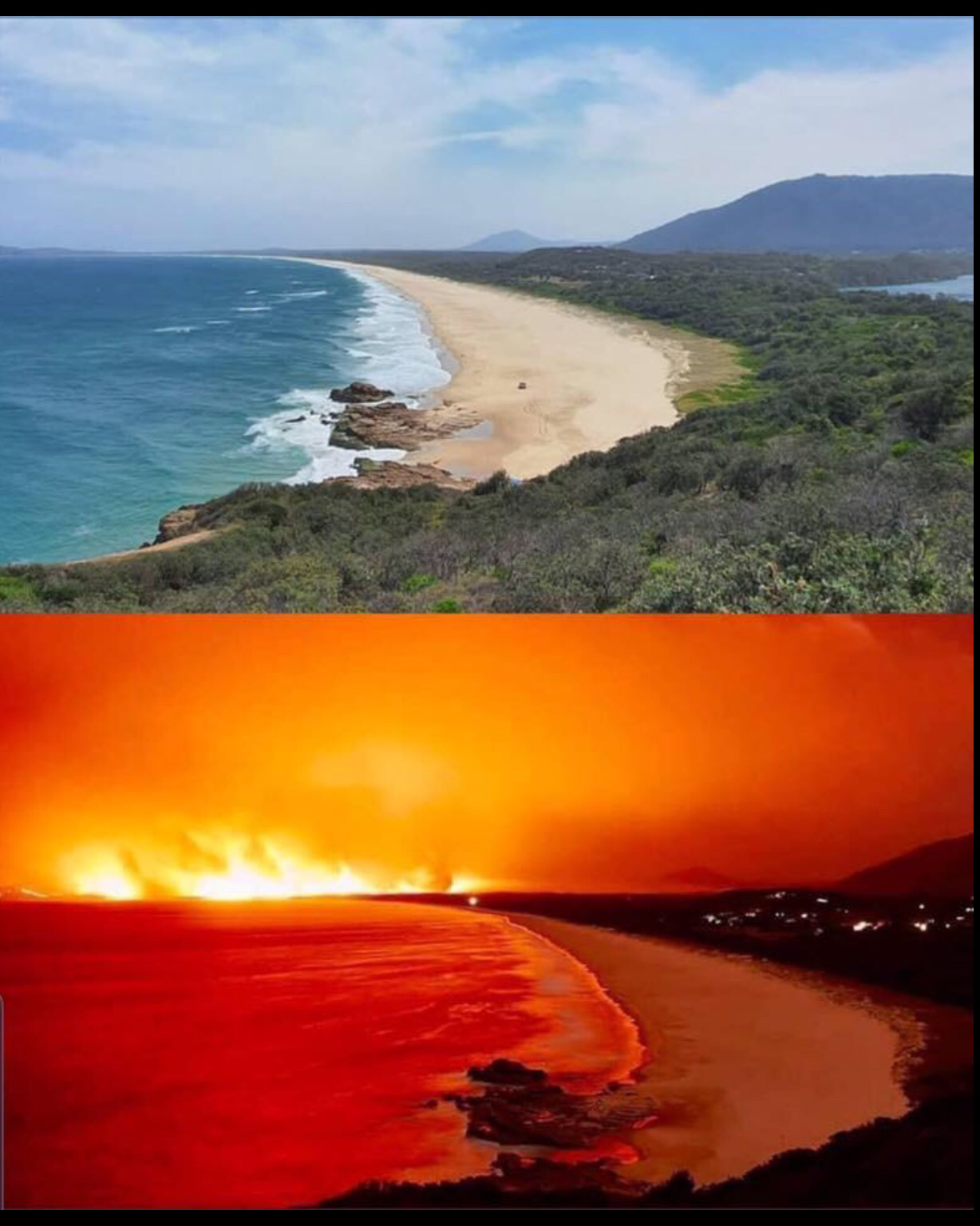 Kinh hãi cảnh động vật chết cháy, rừng xanh hoá biển lửa... vì cháy rừng ở Australia kinh hai canh dong vat chet chay rung xanh hoa bien lua vi chay rung o australia